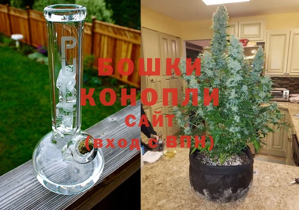 дживик Ладушкин